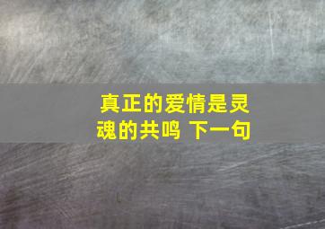 真正的爱情是灵魂的共鸣 下一句